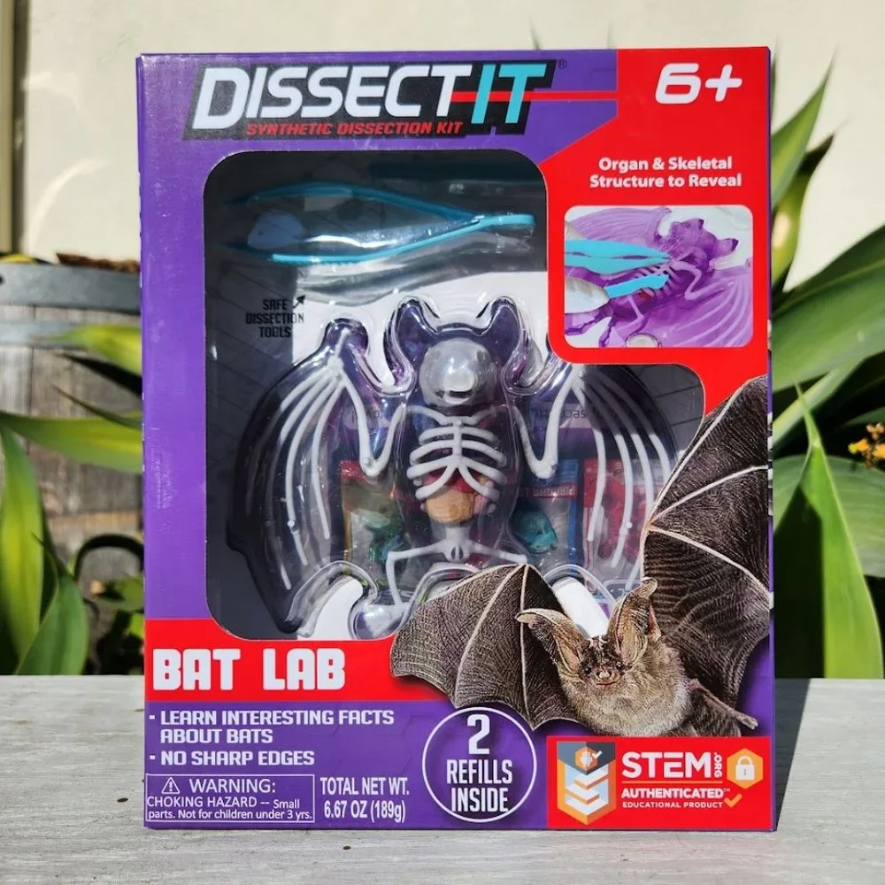 NEW Dissect-it Synthetic Lab Dissection Toy STEM KIT CRAFT Project Bat Biology